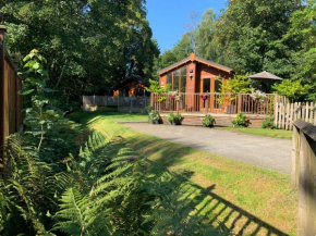 Tiggywinkle Beck Lodge